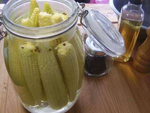 Кукуруза на зиму - способы заготовки свежих початков, заморозки, сушки и консервирования