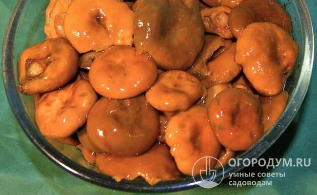 Маринованные рыжики﻿: как заготовить на зиму хрустящие грибочки по простому рецепту