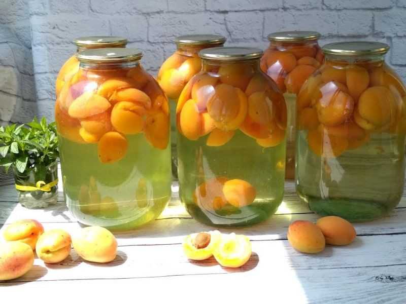 Компот из абрикосов на зиму – 12 простых рецептов на 3 л и 1 л (без стерилизации)
