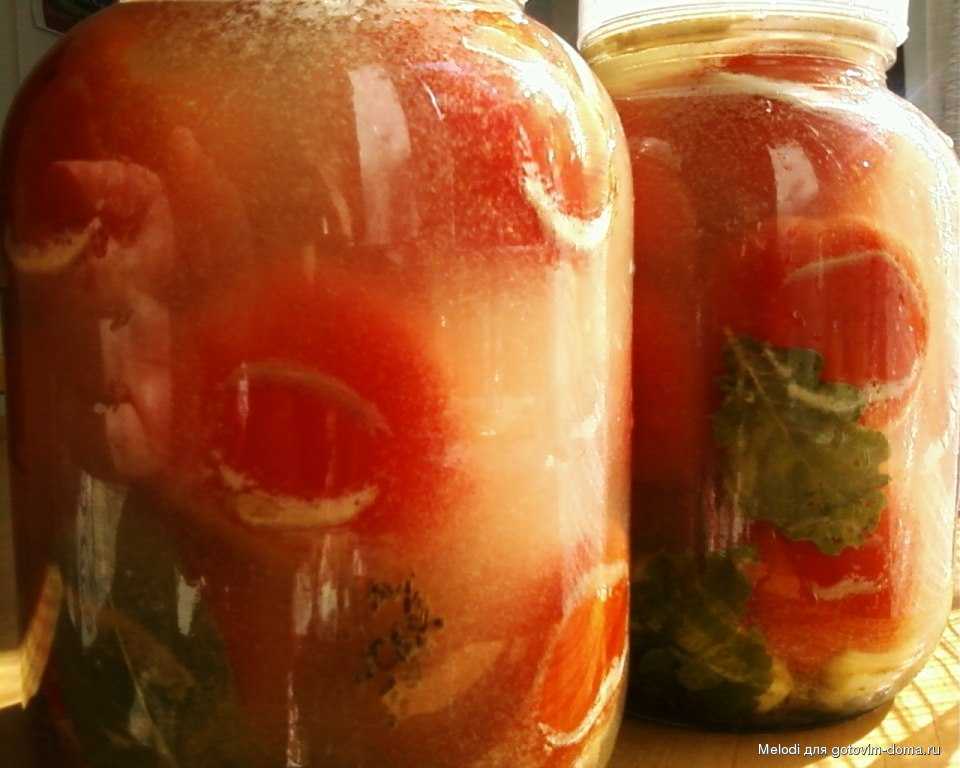 Квашеные помидоры — как правильно приготовить зеленые, красные и фаршированные холодным или горячим способом