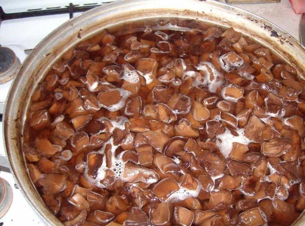 Как заготовить сморчки на зиму: рецепты приготовления маринованных сморчков и как сушить сморчки в домашних условиях