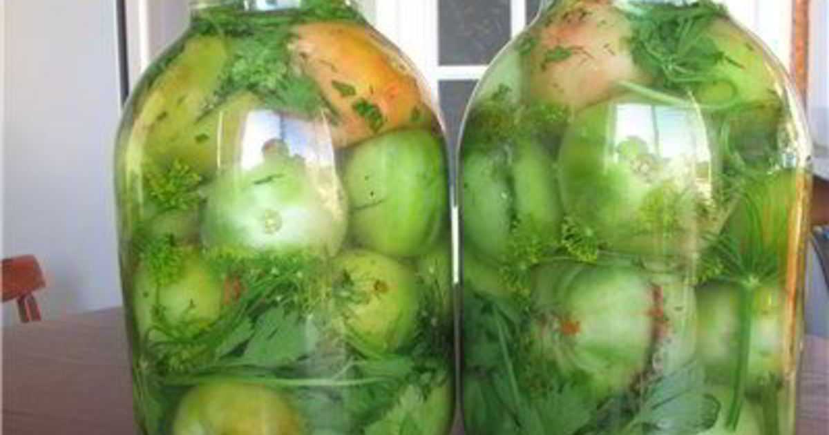 Как приготовить квашеные зеленые помидоры с чесноком и зеленью на зиму: поиск по ингредиентам, советы, отзывы, пошаговые фото, подсчет калорий, удобная печать, изменение порций, похожие рецепты