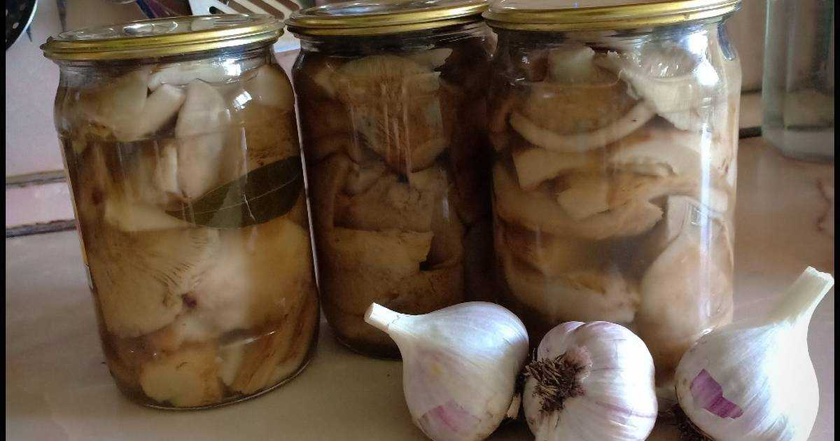Маринованные грузди на зиму – 10 рецептов приготовления с пошаговыми фото