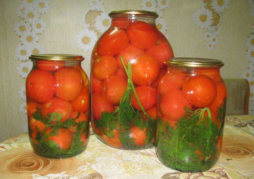 Рецепт помидоров, маринованных с морковной ботвой - 9 пошаговых фото в рецепте