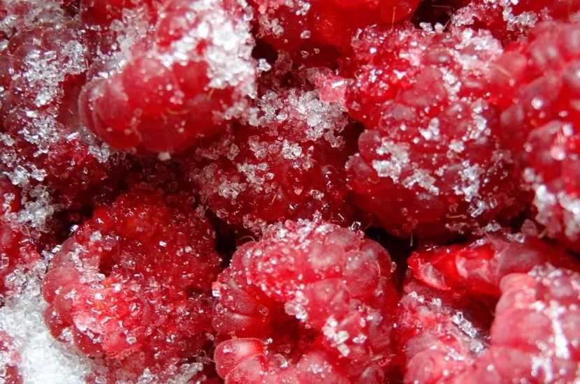 Как приготовить малину замороженную с сахаром на зиму: поиск по ингредиентам, советы, отзывы, пошаговые фото, подсчет калорий, удобная печать, изменение порций, похожие рецепты