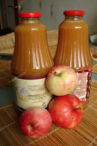 Топ 6 рецептов приготовления тыквенно-яблочного сока на зиму