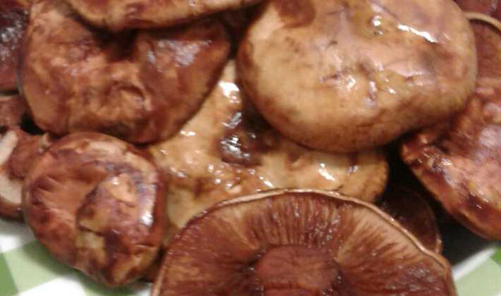 Грибы свинушки маринованные на зиму рецепты приготовления