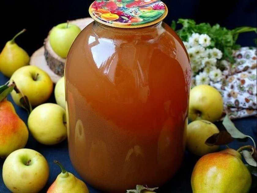 Яблочный сок на зиму: лучшие рецепты с фото