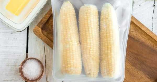 Как правильно заморозить кукурузу на зиму в початках и в зернах