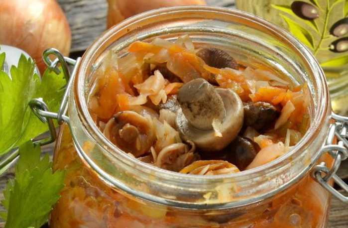 Солянка с грибами на зиму: рецепты домашней консервации