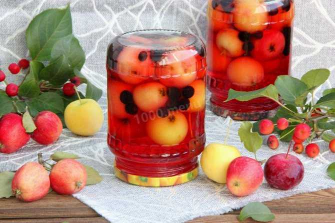 Варенье из яблок и черноплодной рябины на зиму — 5 рецептов с фото пошагово