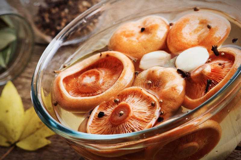 Избранные рецепты приготовления грибов рыжиков