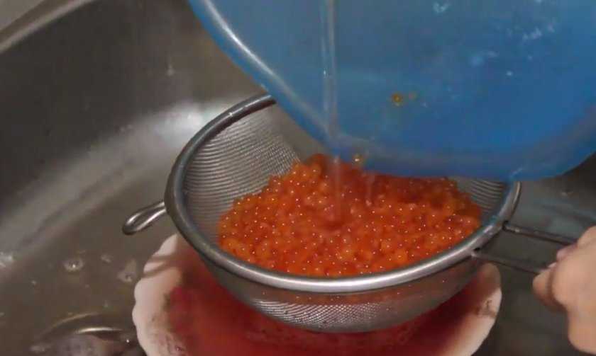Рецепты приготовления икры сазана — солить или жарить?