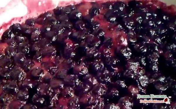 Черноплодная рябина на зиму: 16 рецептов заготовок » сусеки