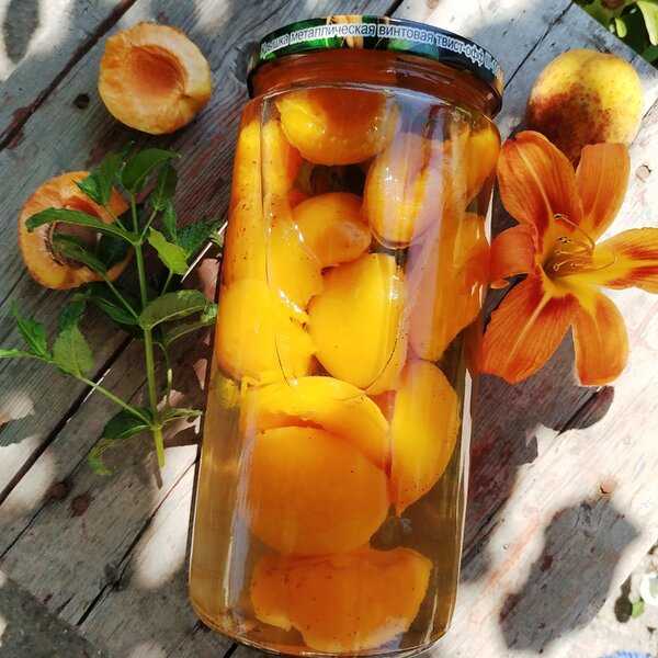 Компот из абрикосов на зиму. 6 простых рецептов абрикосового компота с фотографиями