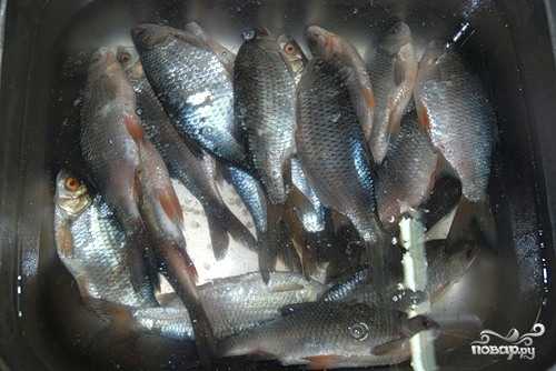 Как солить речную рыбу: способы переработки улова
