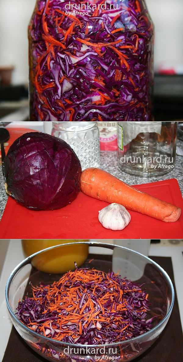 Засолка красной капусты: самые популярные рецепты заготовок на зиму, способы хранения в домашних условиях