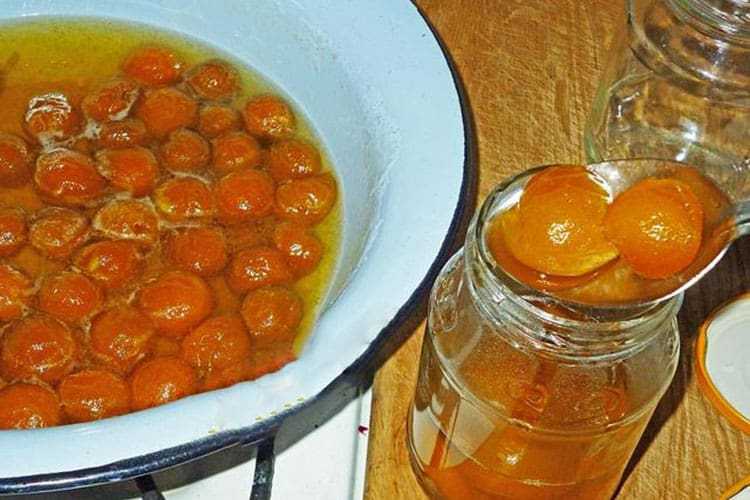 Варенье из абрикосов с косточками - 6 рецептов на зиму с фото пошагово