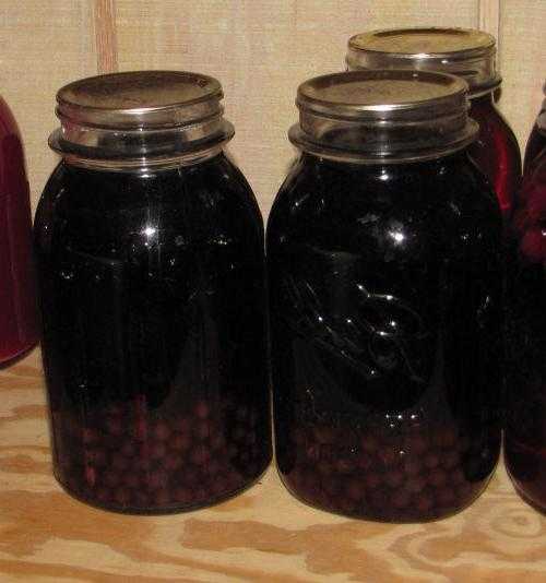 Заготовка на зиму виноградного сока