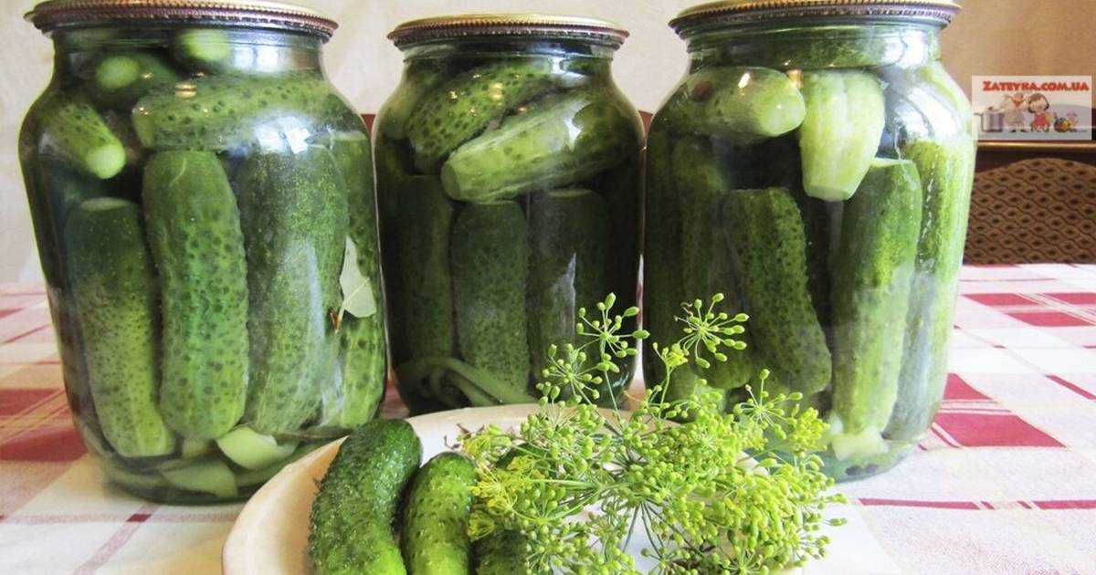 Маринованный зеленый лук на зиму: 15 лучших рецептов приготовления с фото