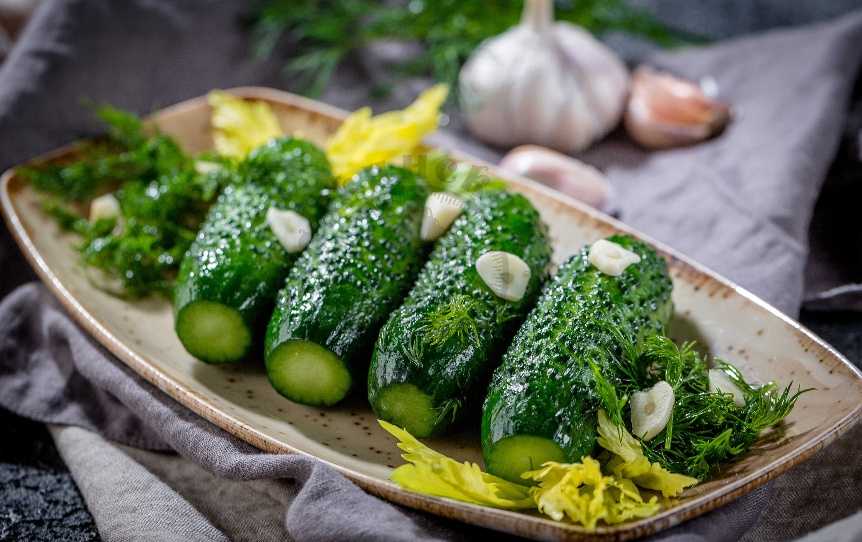 Малосольные огурцы с зеленью и чесноком быстрого приготовления – 8 пошаговых рецептов