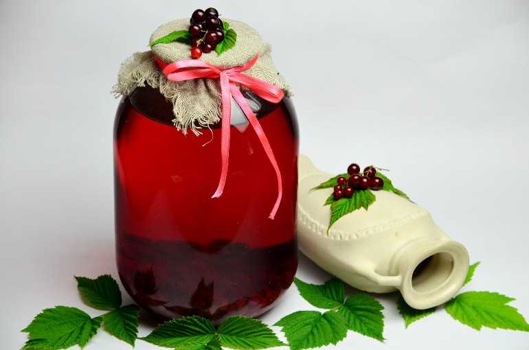 Компот из красной смородины на зиму - простые и вкусные рецепты ароматного напитка