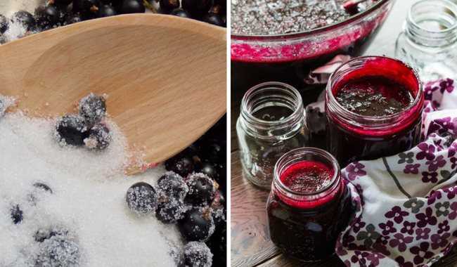 Черная смородина, протертая с сахаром на зиму: 5 полезных рецептов