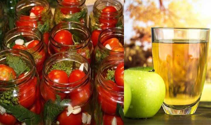 Как приготовить помидоры в яблочном соке: рецепты приготовления томатов на зиму в соке яблок