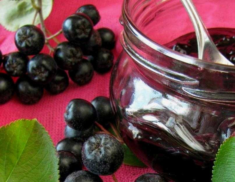 Рецепты из черноплодной рябины на зиму: без сахара, компот, сок