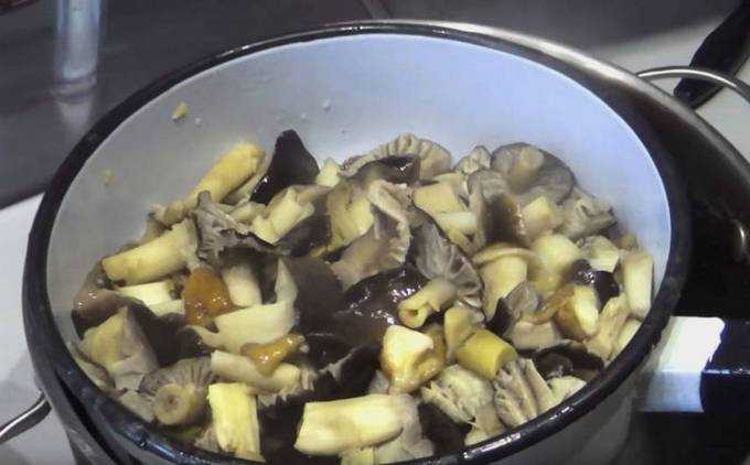 Как приготовить грибы рядовки в домашних условиях. грибы рядовки и как их готовить. простые рецепты приготовления грибов рядовок