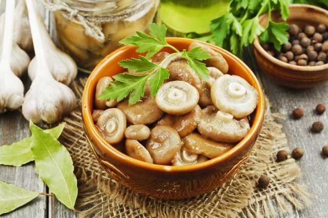 – как сделать маринад для грибов груздей на зиму: рецепты и точные инструкции приготовления