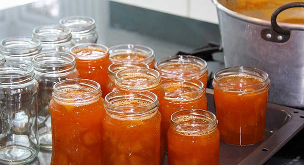 Желе из абрикосов - 6 рецептов на зиму с фото пошагово