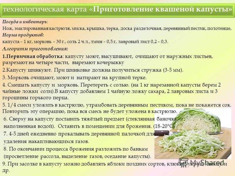 Кабачки на зиму "пальчики оближешь" - 12 вкусных рецептов заготовок