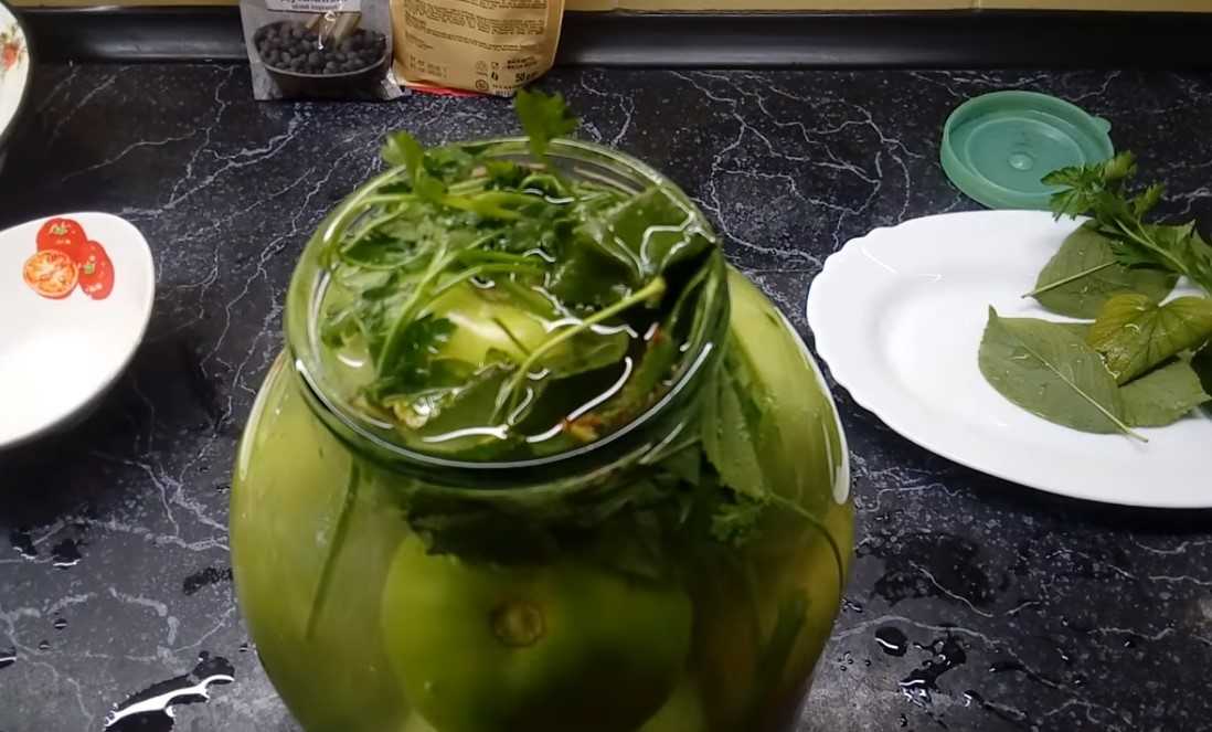 Зеленые помидоры на зиму - 10 ну очень вкусных рецептов заготовок с пошаговыми фото