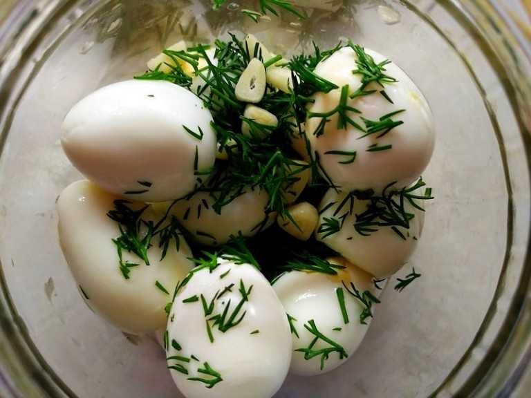 Как мариновать яйца? маринованные куриные и перепелиные яйца, рецепты пошаговые с фото. салат с маринованными яйцами