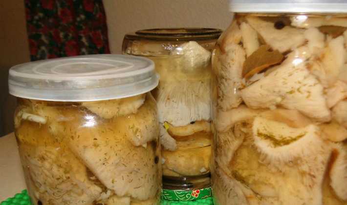 Как солить белые грибы в домашних условиях
