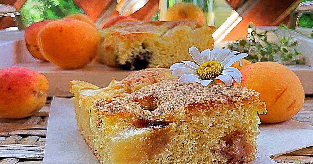 Пирог с абрикосовым вареньем — пошаговый рецепт с фото