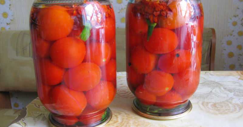 Маринование помидоров на зиму с бархатцами и пошаговый рецепт на литровую банку