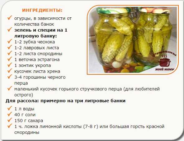 Хрустящие маринованные огурцы на зиму - 10 самых вкусных и очень простых рецептов в банках с фото пошагово