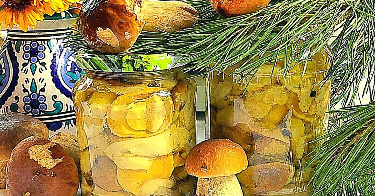 Маринованные белые грибы на зиму – 7 пошаговых рецептов в банках
