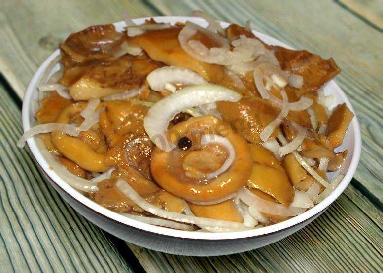 Как готовить сыроежки: маринование грибов в домашних условиях на зиму, рецепты приготовления в банках, корень