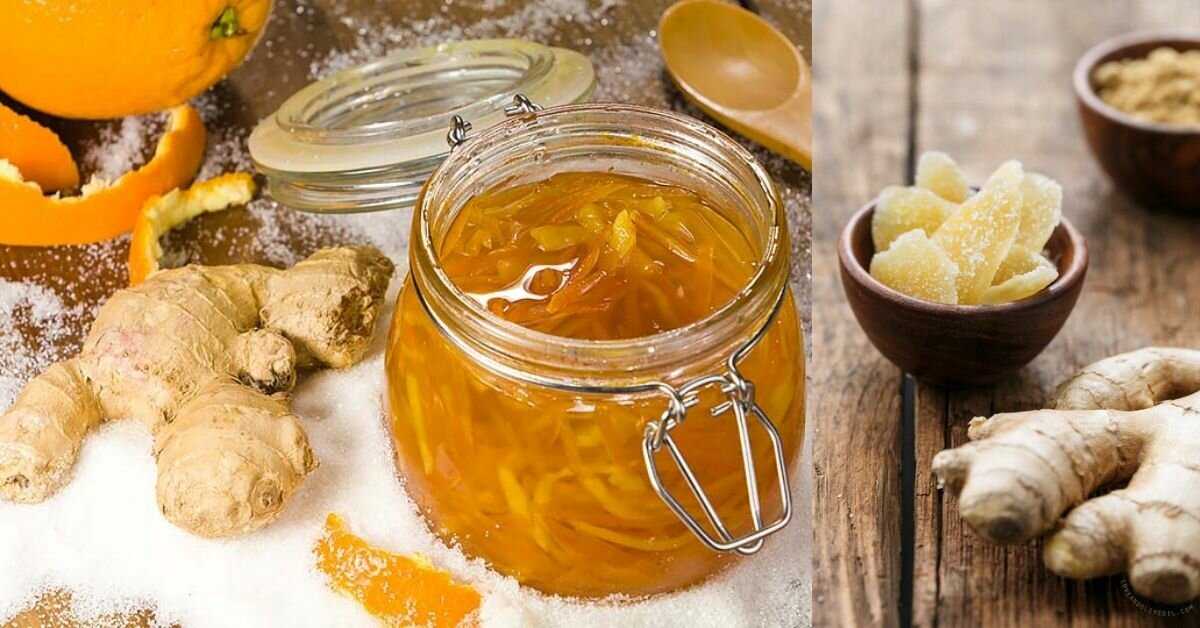 Калина с медом – вкусные, полезные и оригинальные рецепты варенья, наливки и не только!