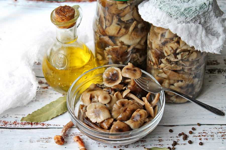 Вкусный паштет из грибов: рецепты и правила приготовления