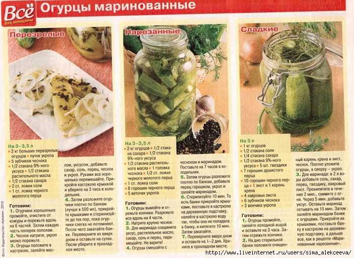 Огурцы по-болгарски на зиму - 7 самых вкусных рецептов