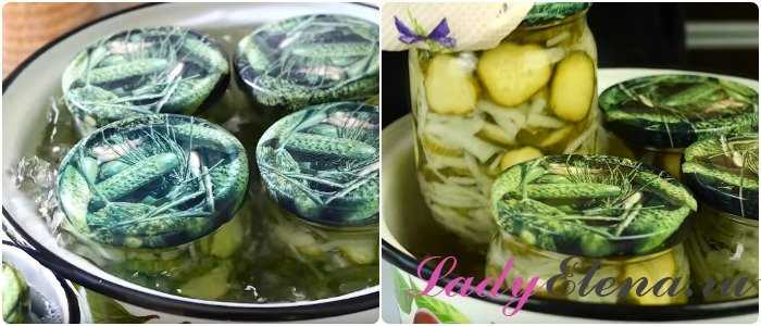 Салат из огурцов на зиму: 6 вкусных рецептов заготовки