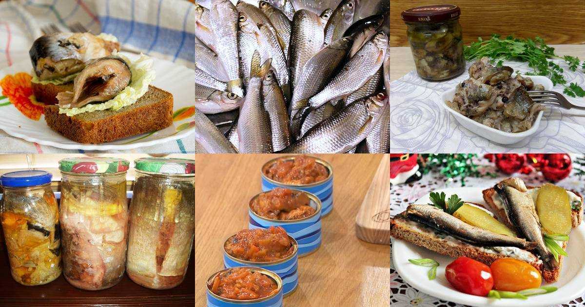 Консервы из речной рыбы в домашних условиях: рецепты, как приготовить на зиму
