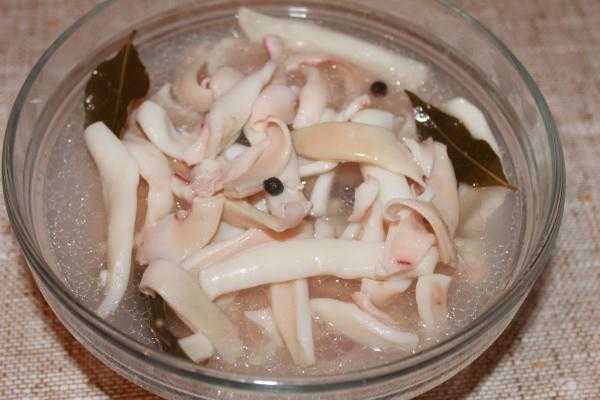 Кальмары на мангале: как приготовить, основные рецепты