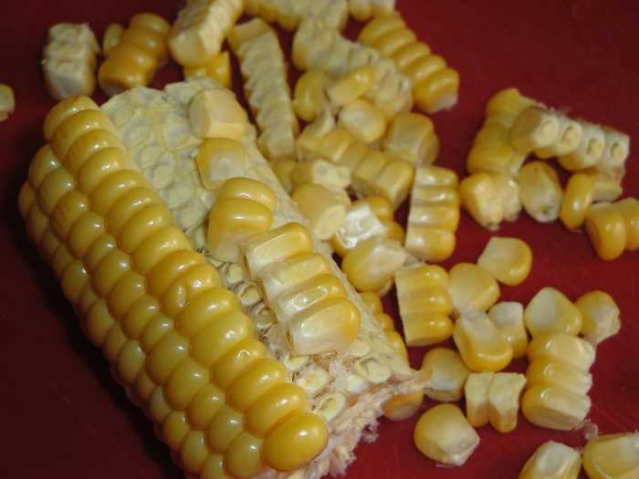 Консервирование кукурузы в початках: рецепт в домашних условиях, молодые на зиму