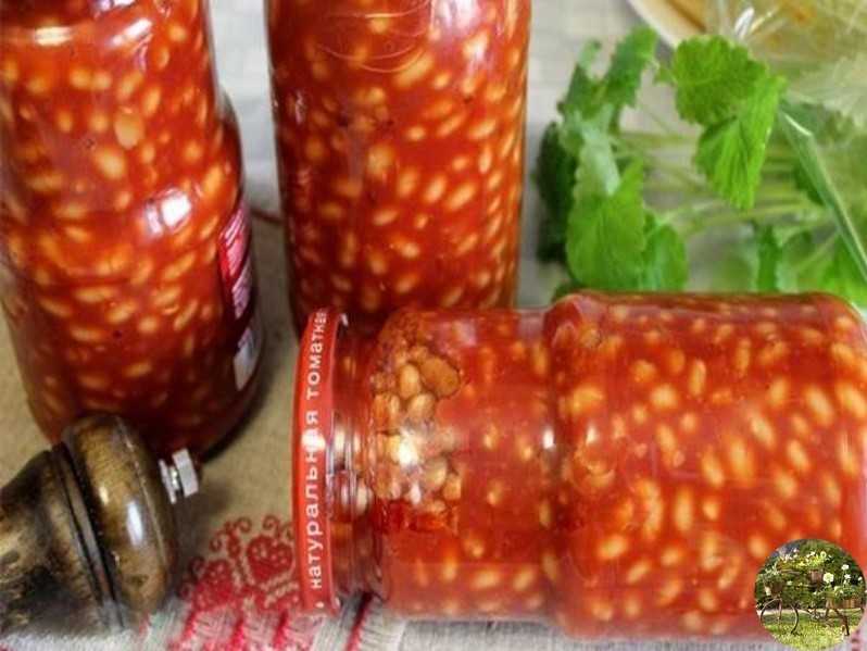 Свежая и консервированная фасоль в томатном соусе: 17 рецептов