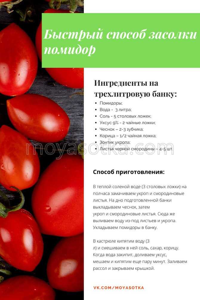 Готовим помидоры быстрой засолки: поиск по ингредиентам, советы, отзывы, пошаговые фото, подсчет калорий, удобная печать, изменение порций, похожие рецепты